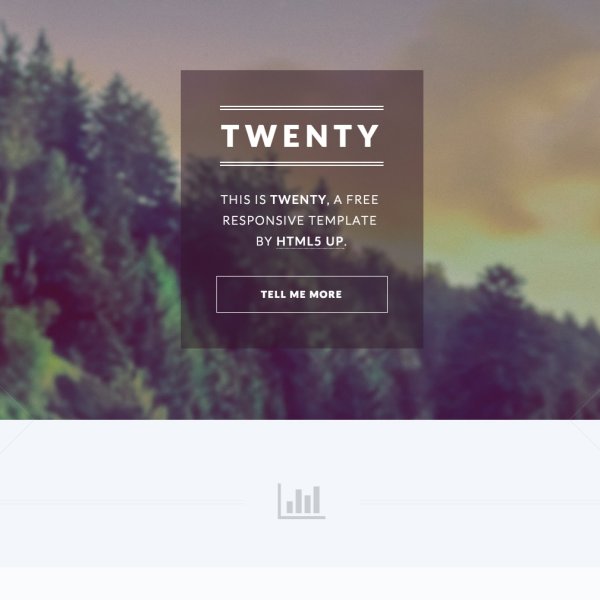 Twenty Site